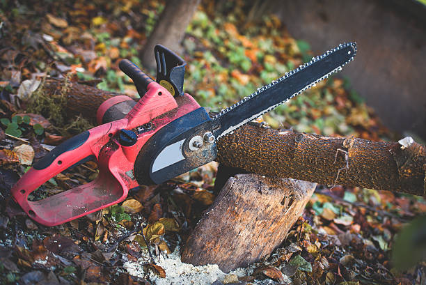 Leaf Removal in Hillsboro, KS